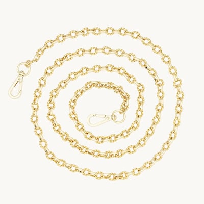 Gold Chain Accessory